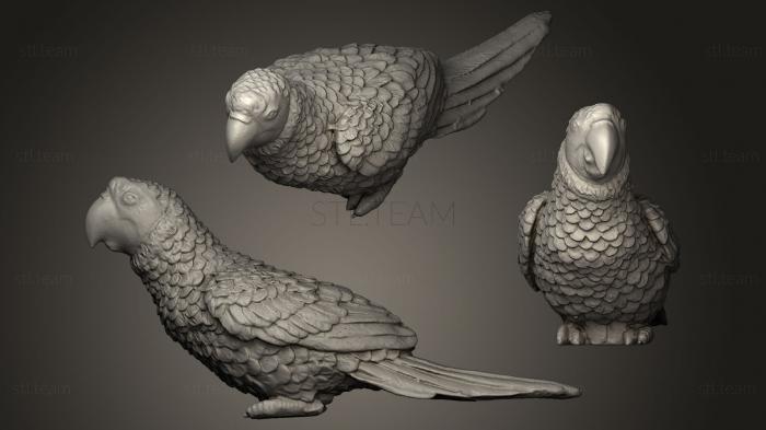 3D model Parrot Ara Green (STL)